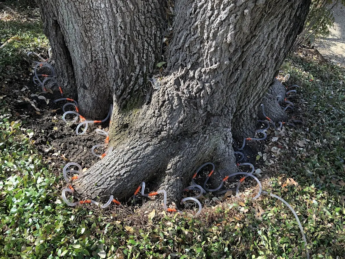 Detailed Shrub and Hedge Trimming job site in Larned